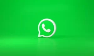 How does WhatsApp earn money?